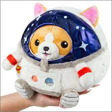 Undercover Corgi in Astronaunt - Game On