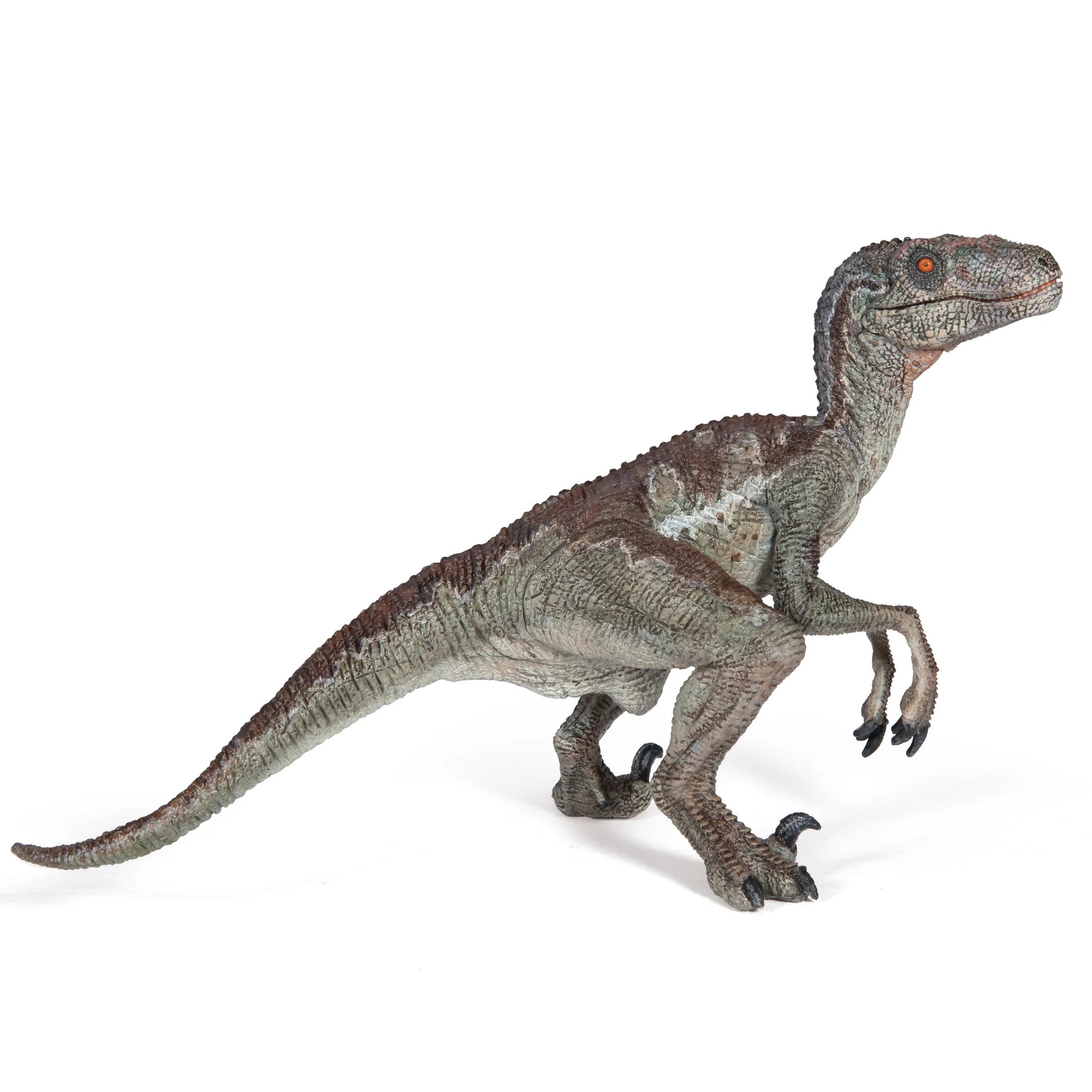 Velociraptor - Game On