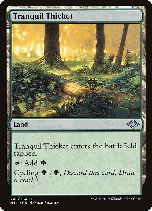 Tranquil Thicket (248) - Modern Horizons - Game On