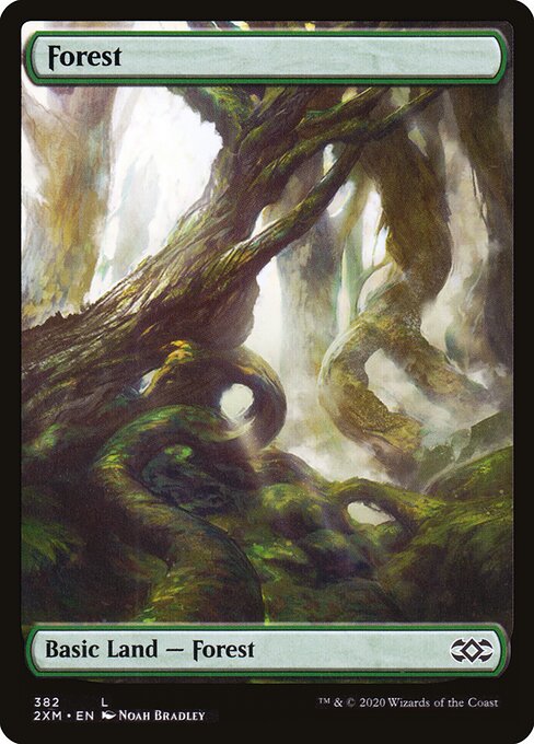 Forest (382) - FULL ART - Double Masters - Game On