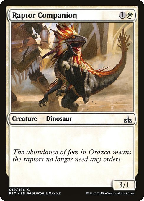 Raptor Companion (19) (Foil) - Rivals of Ixalan - Game On